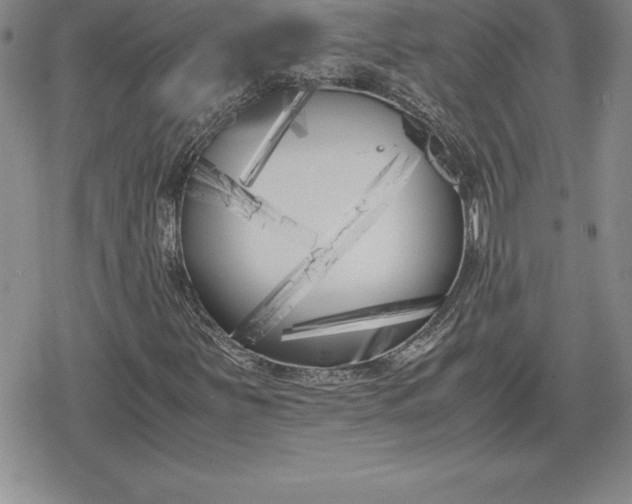 X0000080171251200612221242