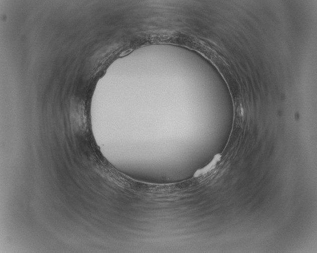 X0000080171252200612221242