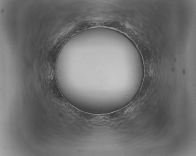 X0000080171253200612221242