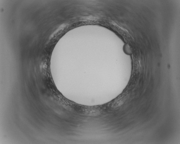 X0000080171254200612221242