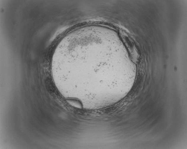 X0000080171255200612221242