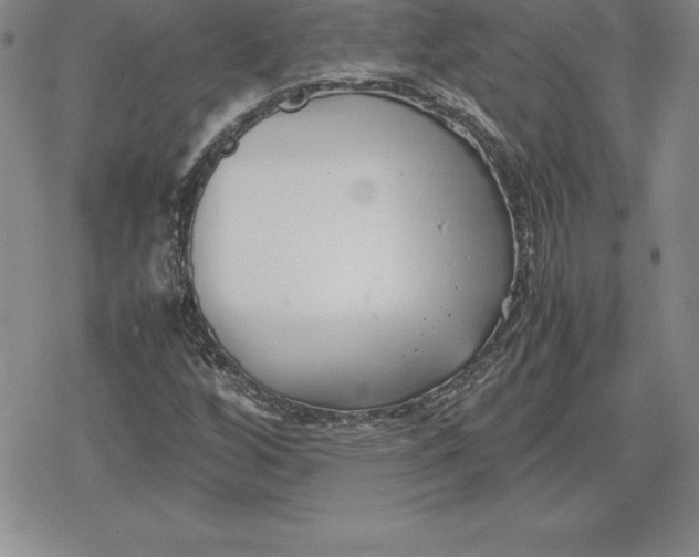 X0000080171256200612221242