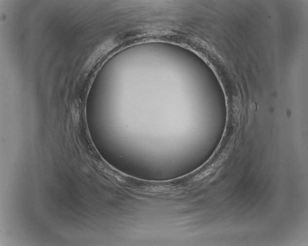 X0000080171257200612221242