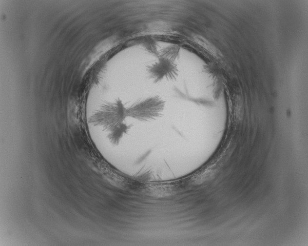 X0000080171258200612221242