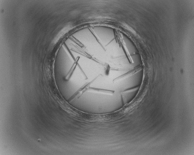 X0000080171259200612221242