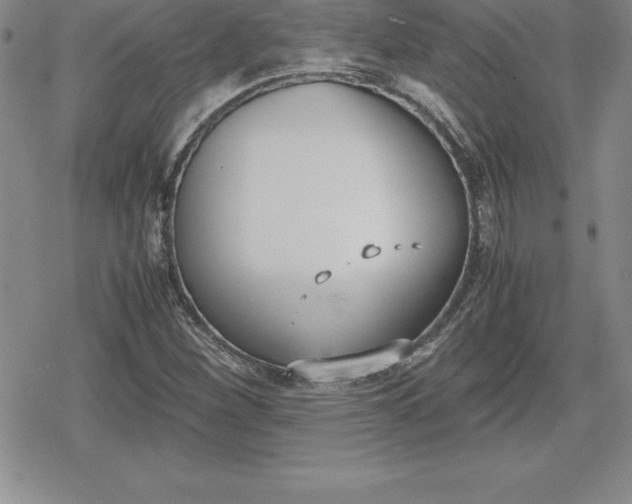 X0000080171260200612221242