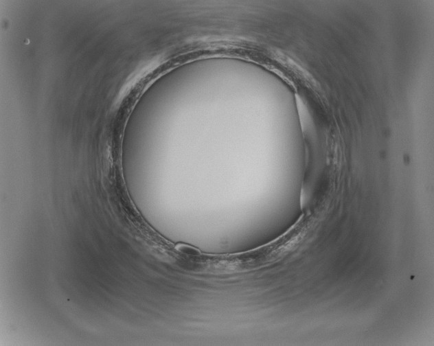 X0000080171261200612221242