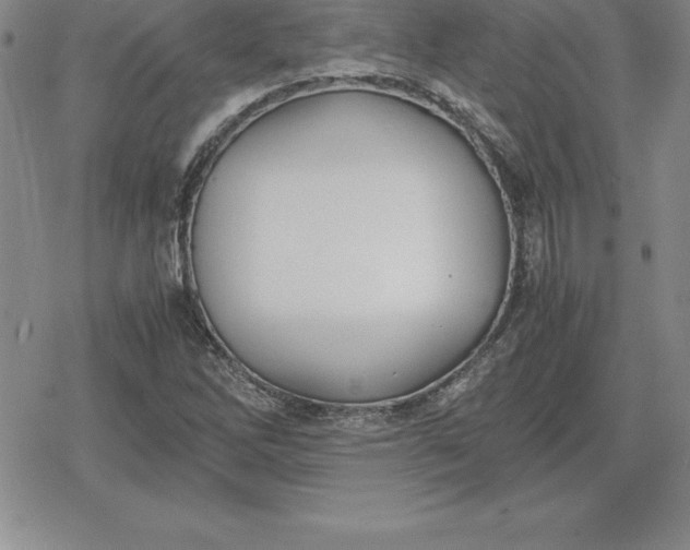 X0000080171262200612221242