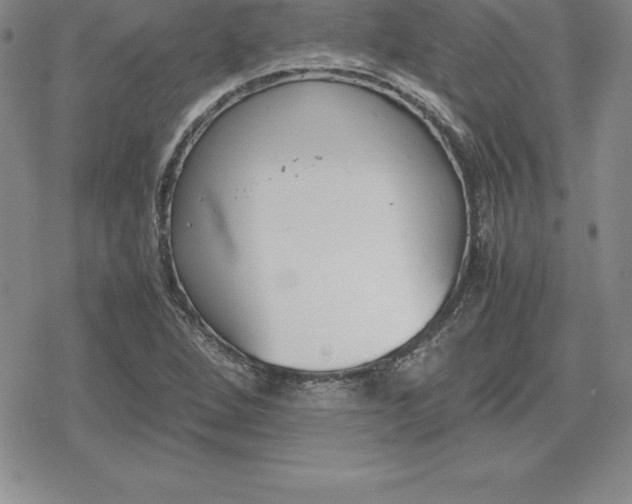 X0000080171264200612221242