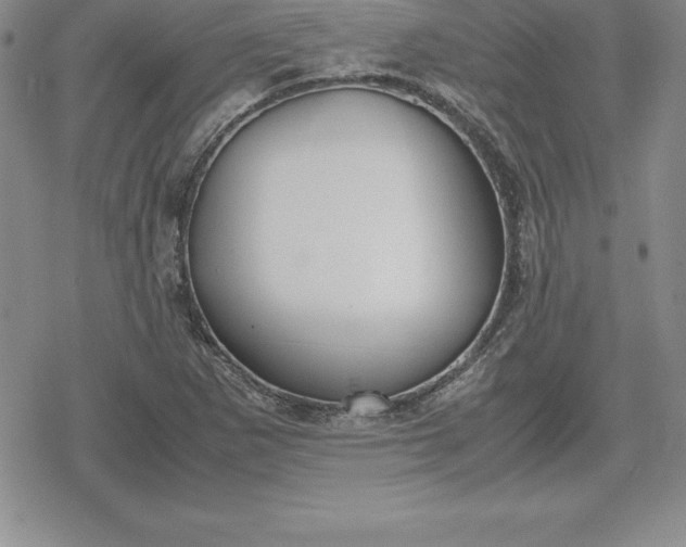 X0000080171265200612221242