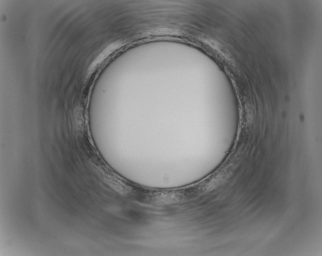 X0000080171266200612221242