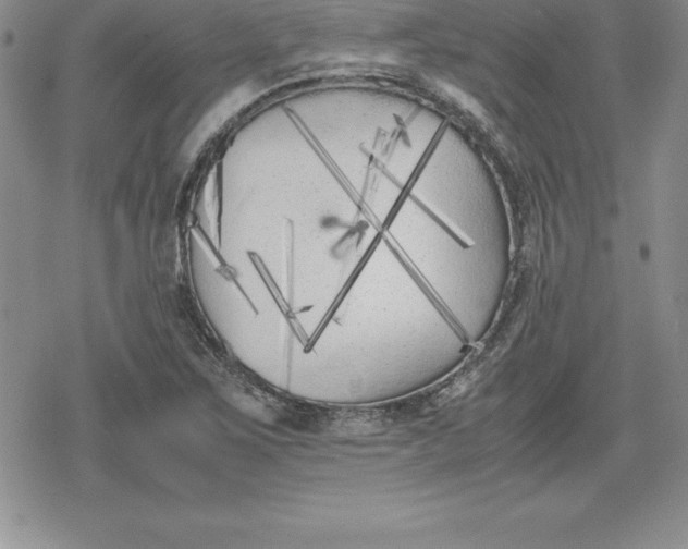 X0000080171267200612221242