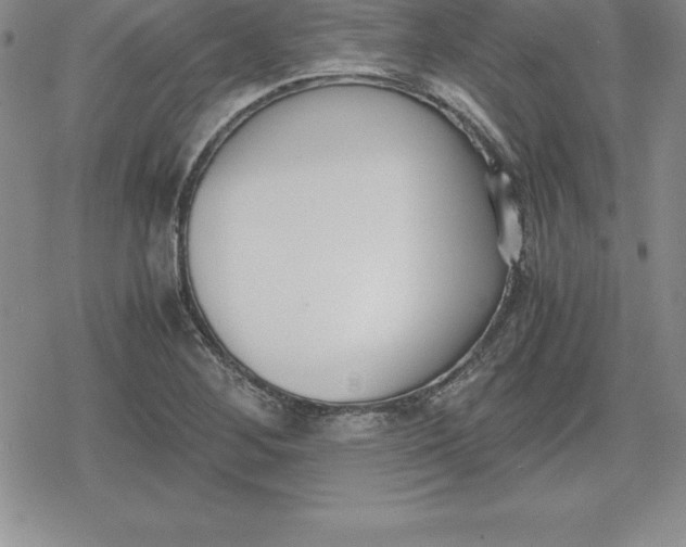 X0000080171268200612221242