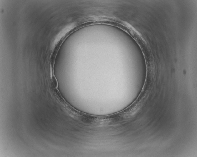 X0000080171269200612221242