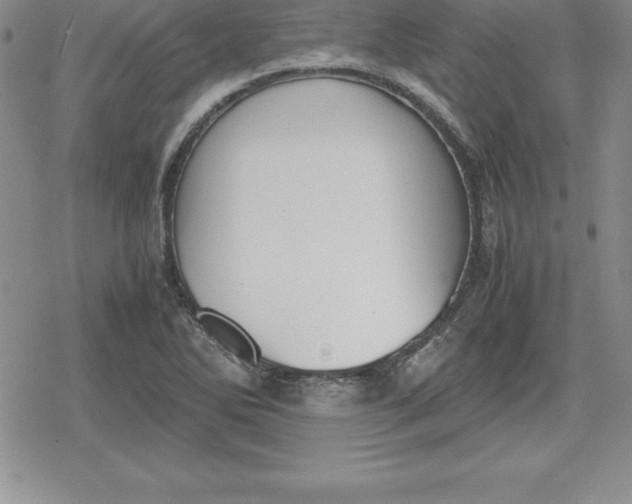 X0000080171270200612221242