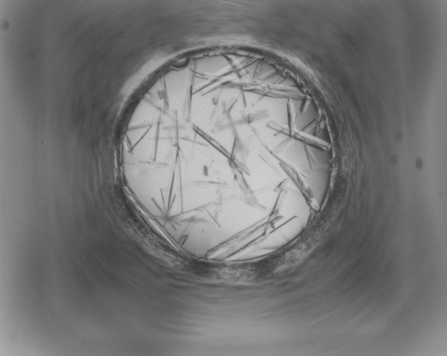 X0000080171271200612221242