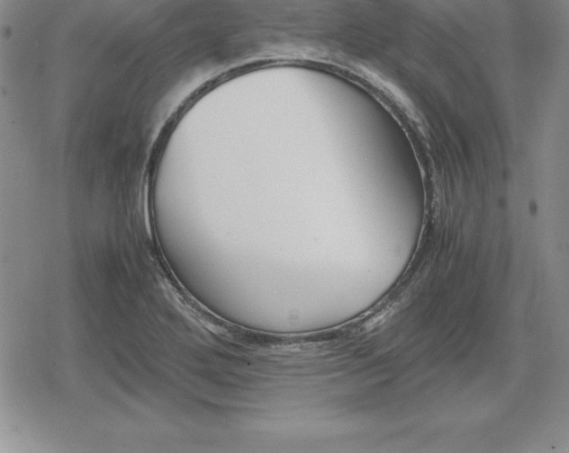 X0000080171272200612221242