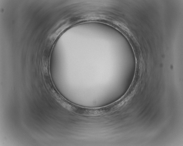 X0000080171273200612221242