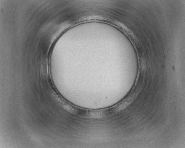 X0000080171274200612221242