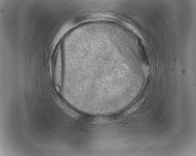 X0000080171275200612221242