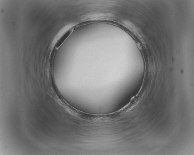 X0000080171277200612221242