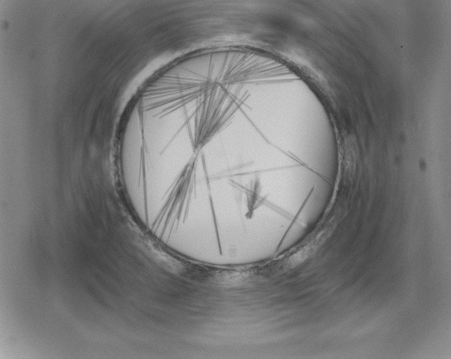 X0000080171278200612221242