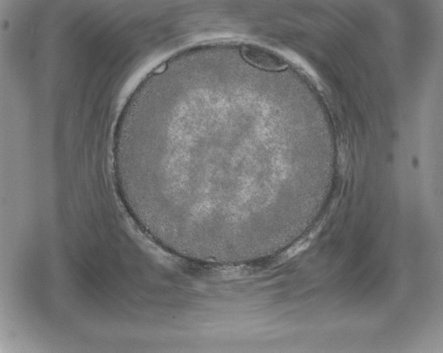 X0000080171279200612221242