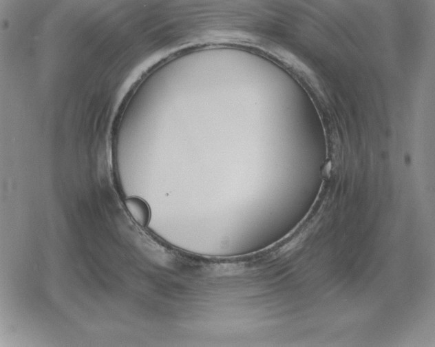 X0000080171280200612221242