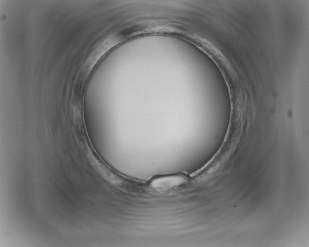 X0000080171281200612221242