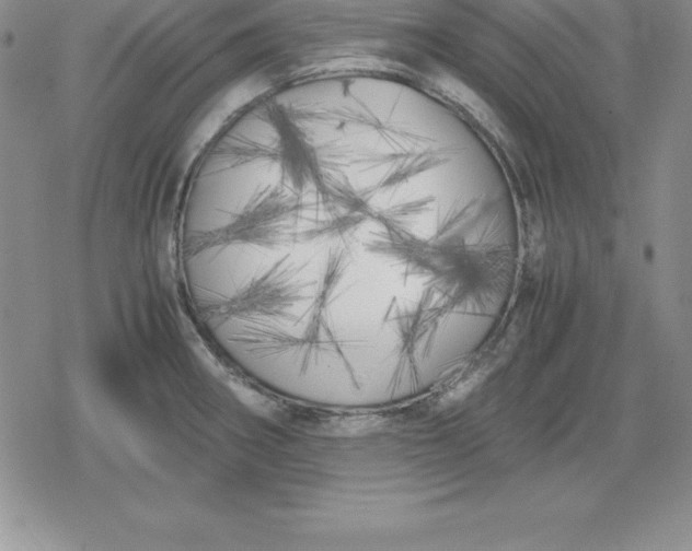 X0000080171282200612221242