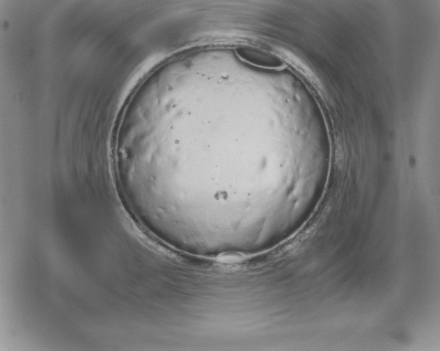 X0000080171283200612221241