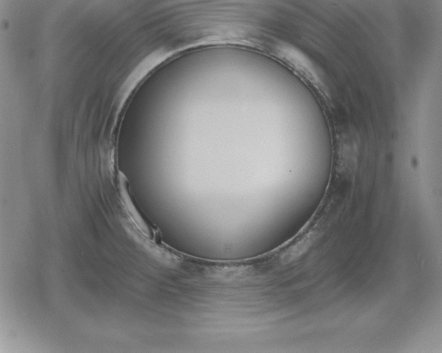 X0000080171284200612221241