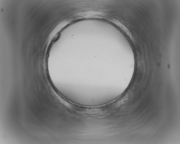 X0000080171285200612221241