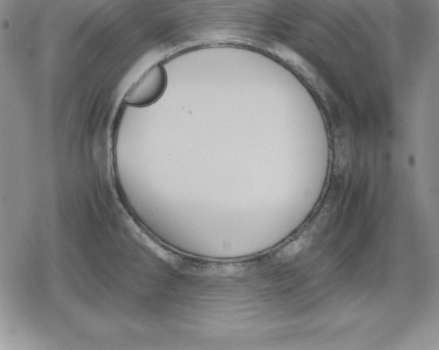 X0000080171286200612221241