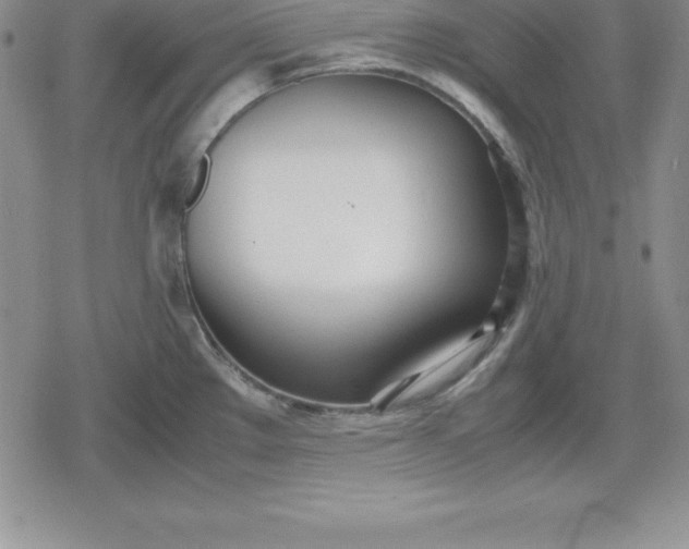 X0000080171289200612221241