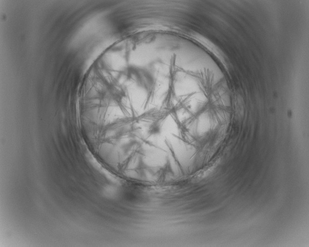 X0000080171290200612221241