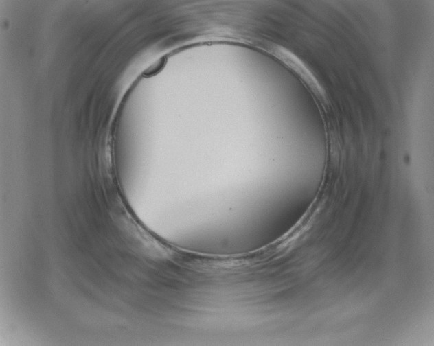 X0000080171292200612221241