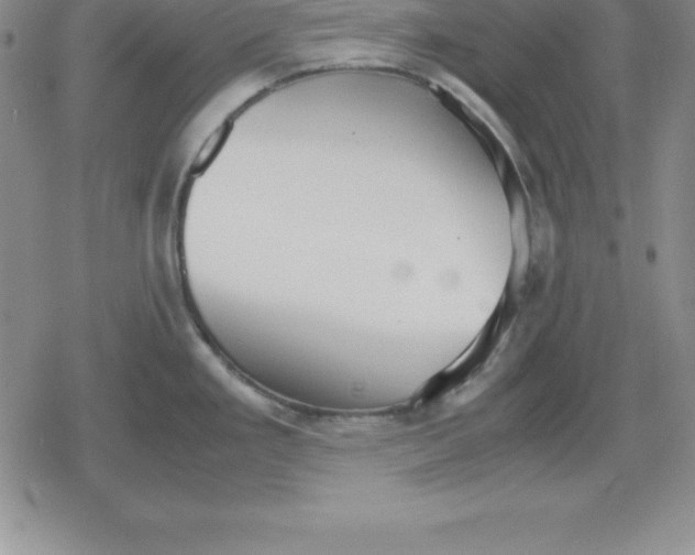 X0000080171293200612221241