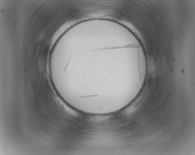 X0000080171294200612221241