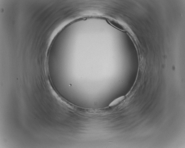 X0000080171295200612221241