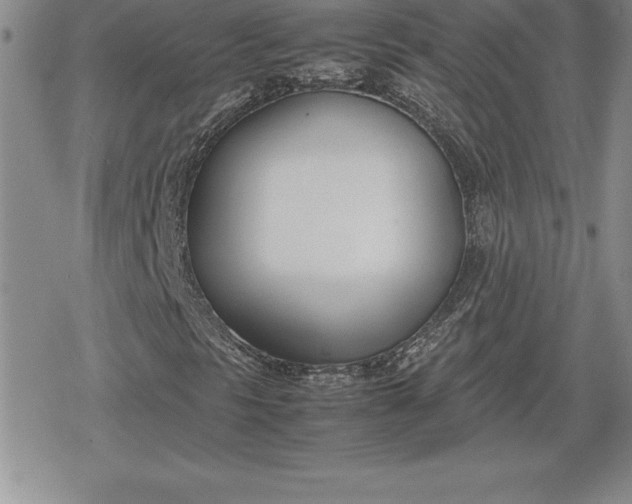 X0000080171297200612221241