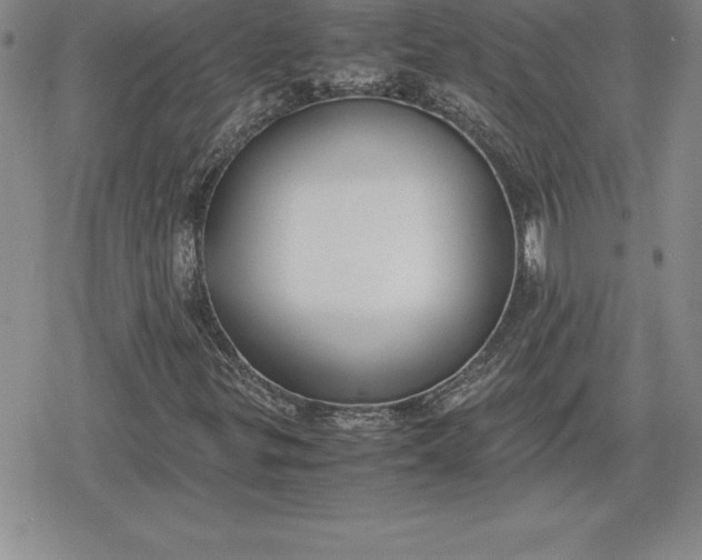 X0000080171299200612221241