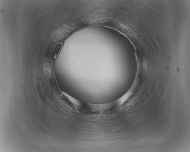 X0000080171300200612221241