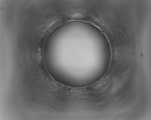 X0000080171301200612221241