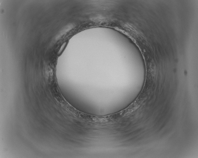 X0000080171302200612221241