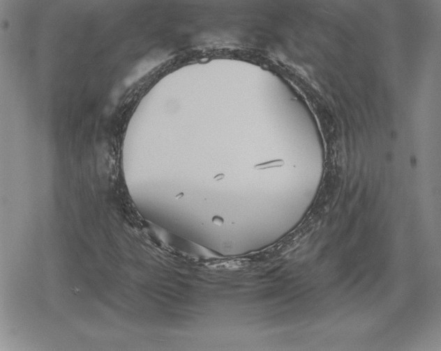 X0000080171303200612221241