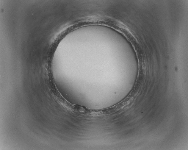 X0000080171304200612221241