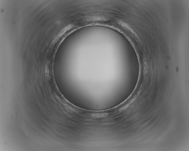 X0000080171305200612221241