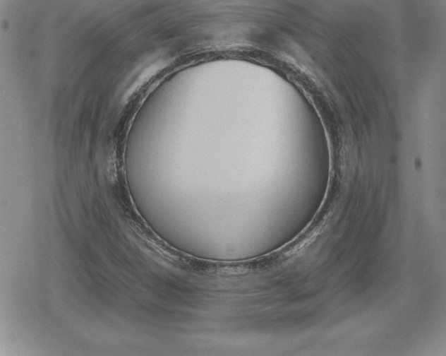 X0000080171306200612221241