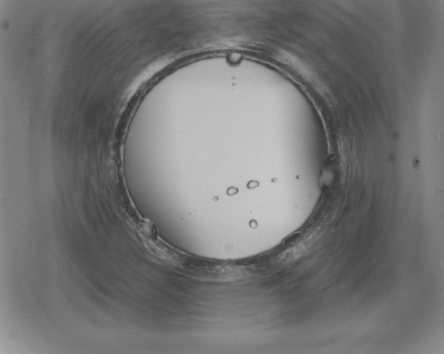 X0000080171308200612221241